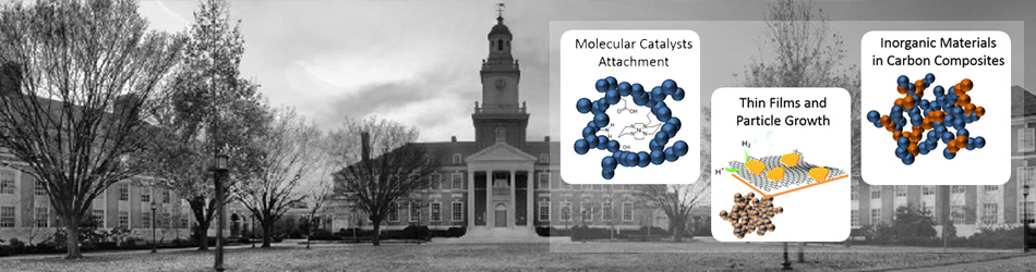 Tuning Chemical Environments in Catalysis for Mechanistic Insights