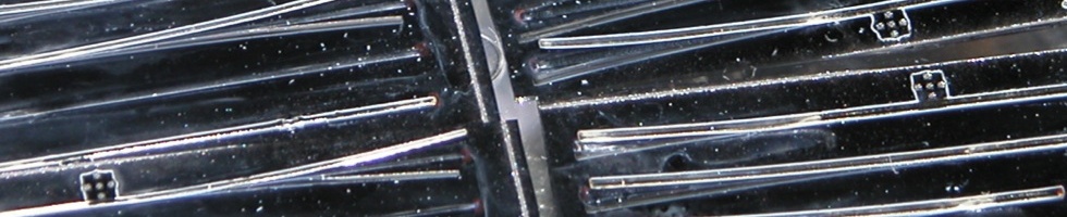 an image of a silicon/SU-8 waveguides on silicon wafer