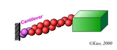 Click for Flash Anim: Elastic Brownian Ratchet