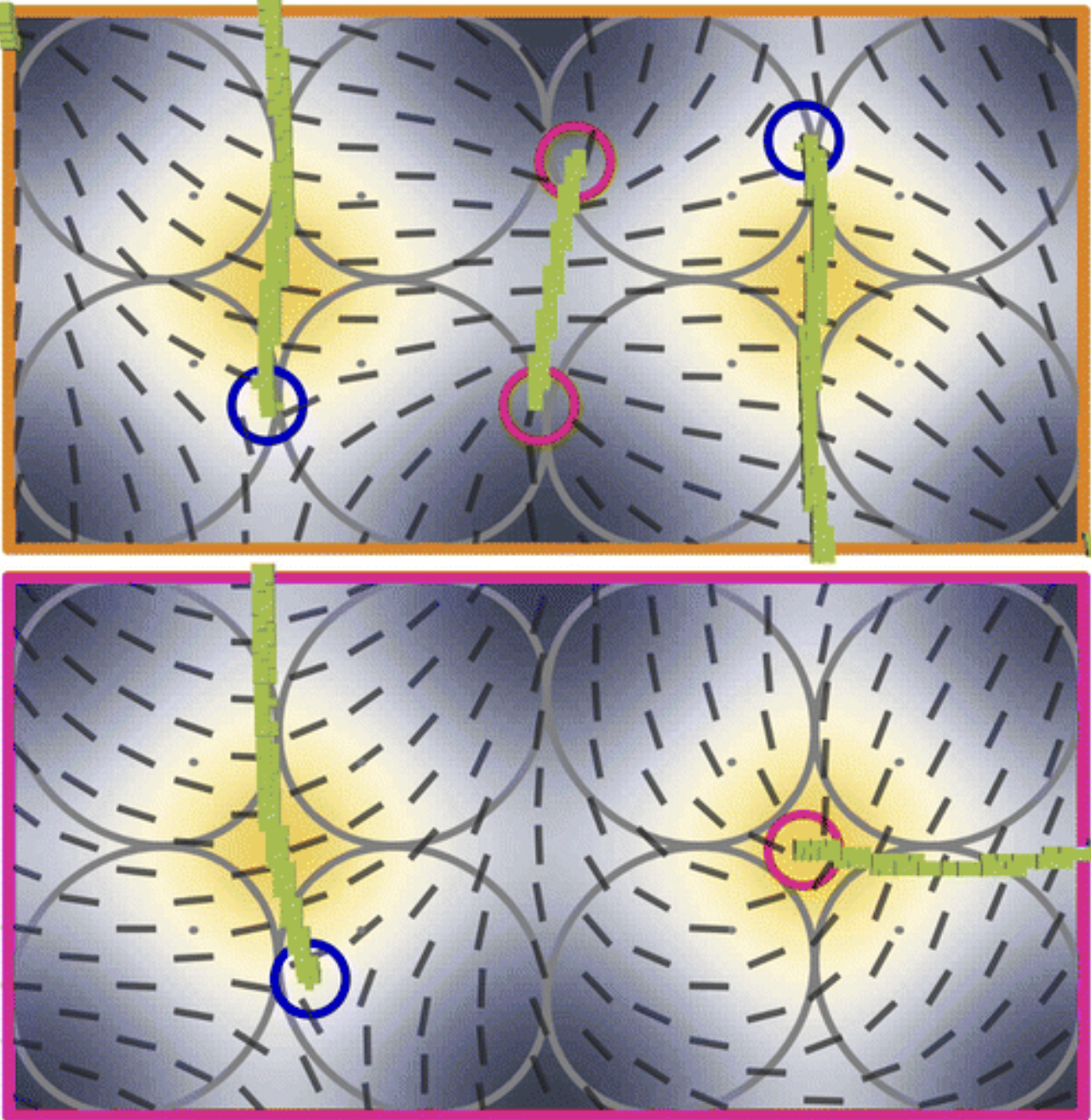 Simulated liquid crystal director field and defects