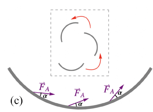 Schematic of chiral active filament